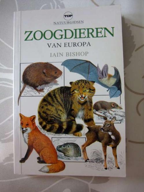Zoogdieren van Europa - Iain Bishop - nieuwstaat, Boeken, Dieren en Huisdieren, Nieuw, Ophalen of Verzenden