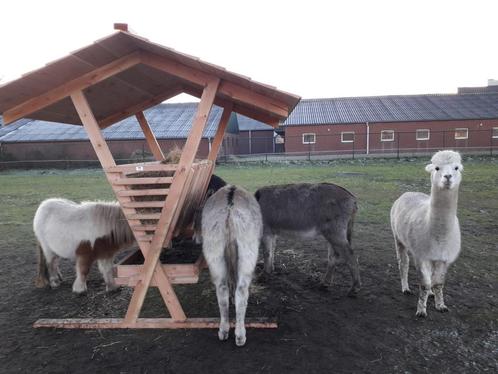 hooiruif RUIF ALPACA HERT REE PONY SCHAAP, Dieren en Toebehoren, Stalling en Weidegang