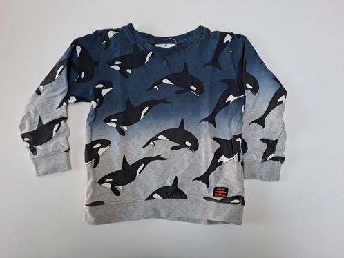 Mt 98-104 Grijs blauwe sweater met orka's Jonas Claesson H&M, Kinderen en Baby's, Kinderkleding | Maat 98, Zo goed als nieuw, Jongen