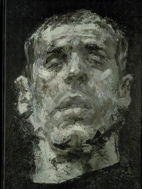 Sam Dillemans Rubenshuis, Boeken, Kunst en Cultuur | Beeldend, Gelezen, Ophalen of Verzenden