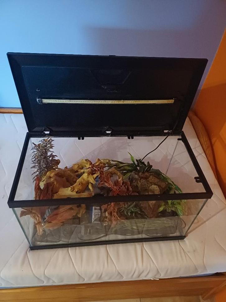 Aquarium avec accessoires, Animaux & Accessoires, Poissons | Aquariums & Accessoires, Utilisé, Aquarium d'eau douce rempli, Enlèvement
