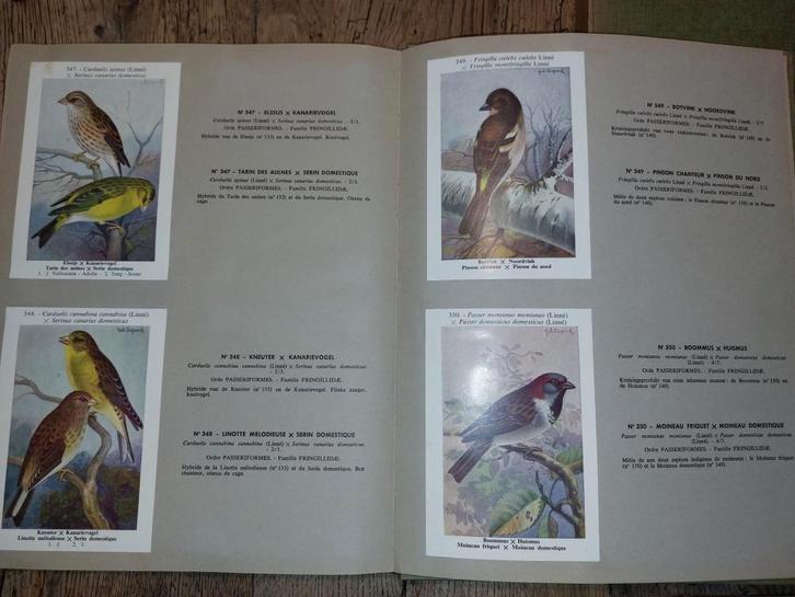 2 oude boeken vogels van Fort, begin 1900, Antiquités & Art, Curiosités & Brocante, Enlèvement ou Envoi