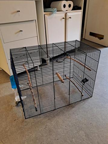Grande cage à oiseaux sans fond (cassée) utilisable avec une
