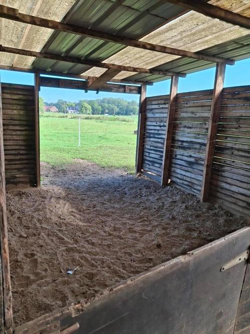 Grote stal te huur in LIER, Dieren en Toebehoren, Stalling en Weidegang