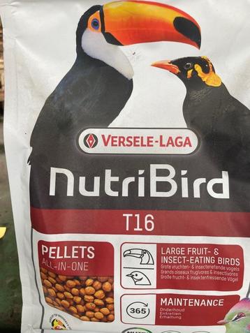 T 16 800 gr