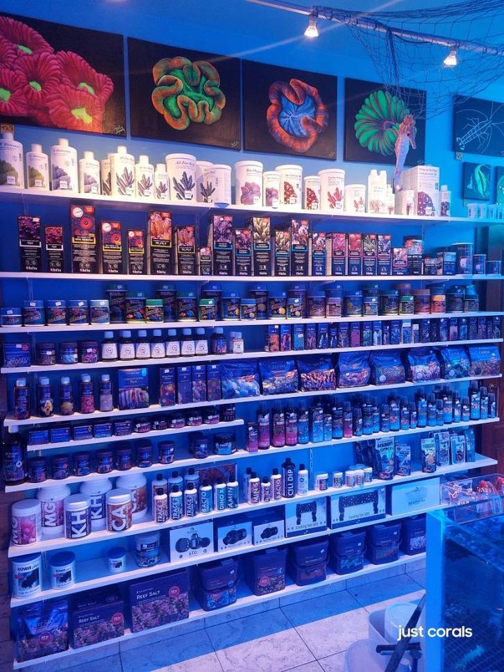 Zeeaquarium benogigdheden, Dieren en Toebehoren, Vissen | Aquaria en Toebehoren, Nieuw, Gevuld zeewateraquarium, Ophalen