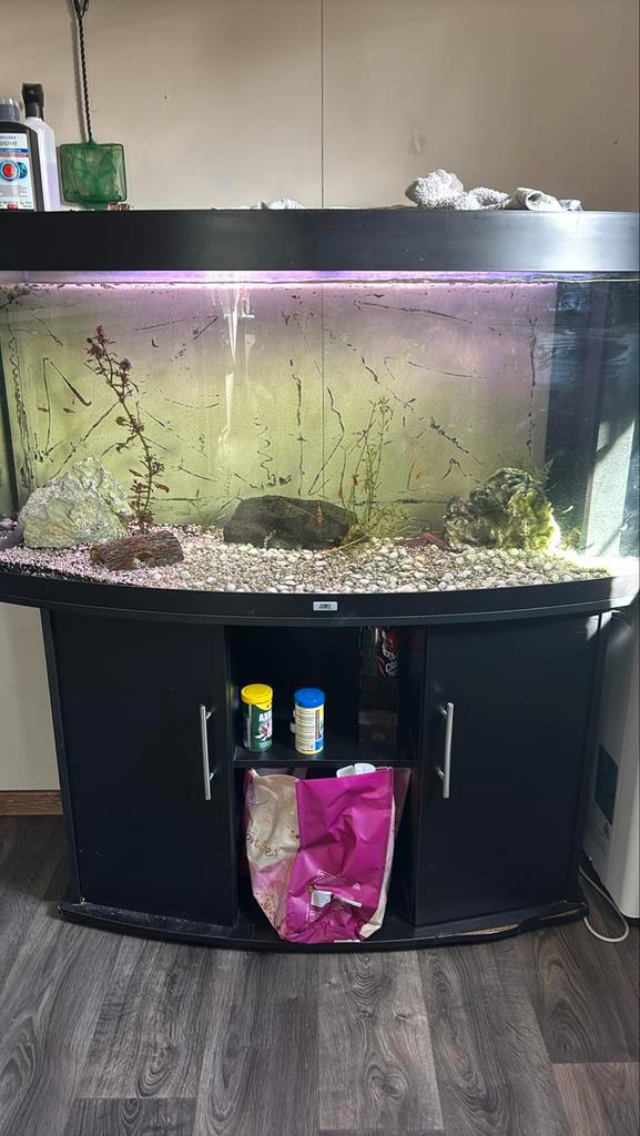 Aquarium, Dieren en Toebehoren, Vissen | Aquaria en Toebehoren, Gebruikt, Gevuld zoetwateraquarium, Ophalen