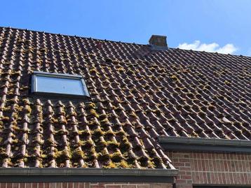 Nettoyage Toiture/terrasse beschikbaar voor biedingen