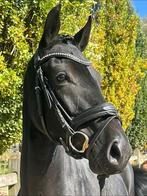 Brave 3-jarige ruin, Dieren en Toebehoren, Paarden, Ruin, Zadelmak