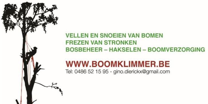 vellen en snoeien van bomen, Tuin en Terras, Overige Tuin en Terras, Nieuw, Ophalen