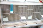 3 kweekkooien met let verlichting  80x30x40, Dieren en Toebehoren, Vogels | Hokken en Kooien, Ophalen, Zo goed als nieuw, Hout