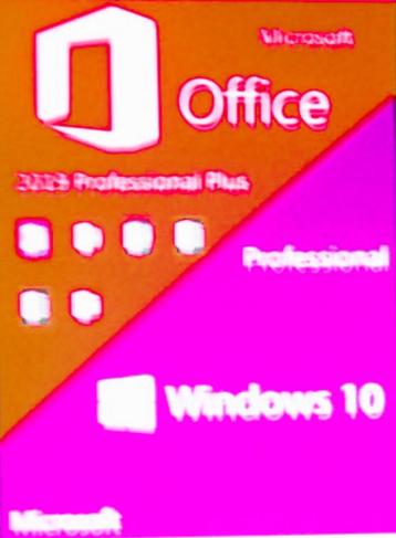 Office 2019 Pro Plus 1 pc + Windows 10 Pro | Niet compatibel beschikbaar voor biedingen