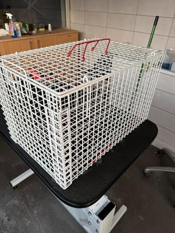 Kattenkooi (veiligheidskooi) beschikbaar voor biedingen