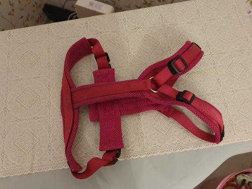 Hondentuig Petlando Y-Tuig Fuchsia Small, Dieren en Toebehoren, Honden-accessoires, Gebruikt, Ophalen