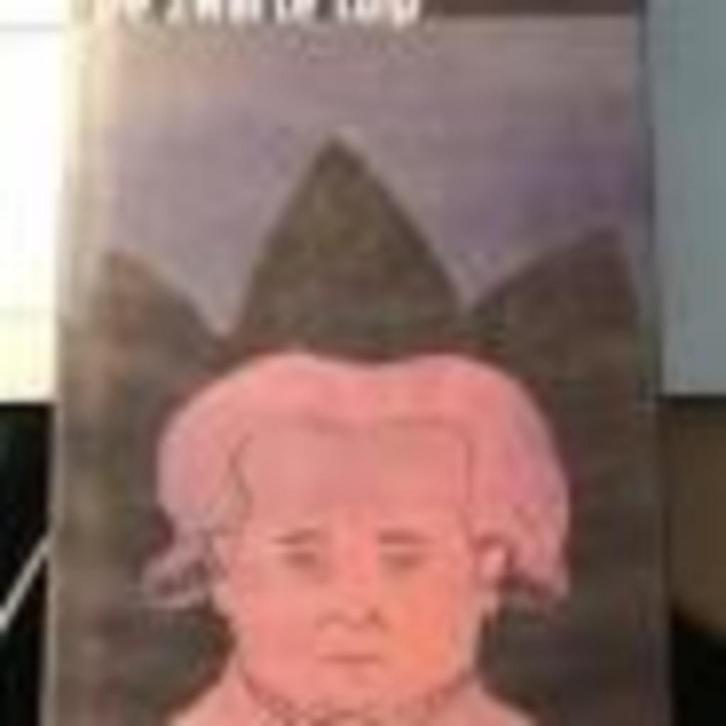 De zwarte tulp Alexander Dumas  nr 18 De Morgen, Boeken, Historische romans, Zo goed als nieuw, Ophalen of Verzenden