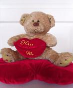 VALENTIJN /pluche beertje op hartjeskussen, Enlèvement ou Envoi, Comme neuf, Ours en tissus