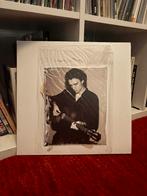 Tamino Sahar vinyl, Enlèvement