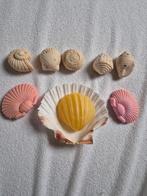 Set zeepjes thema zee (8stuks + schelp), Ophalen of Verzenden