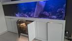 Aqualife aquarium, Dieren en Toebehoren, Vissen | Aquaria en Toebehoren, Ophalen of Verzenden, Zo goed als nieuw, Leeg aquarium