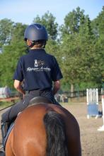 pony lessen voor iedereen, Animaux & Accessoires, Chevaux & Poneys | Autres trucs de cheval, Enlèvement ou Envoi, Dressage, Neuf
