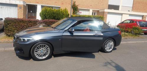 BMW 218d cabriolet, Auto's, BMW, Particulier, 2 Reeks, Achteruitrijcamera, Diesel, Cabriolet, 2 deurs, Automaat, Rood, Overige kleuren