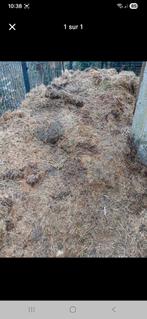 fumier a donner, Enlèvement, Fumier