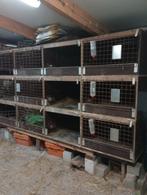 Enclos pour lapins et cobayes en état d'usage, Animaux & Accessoires, Rongeurs & Lapins | Cages & Clapiers, Utilisé, Enlèvement ou Envoi