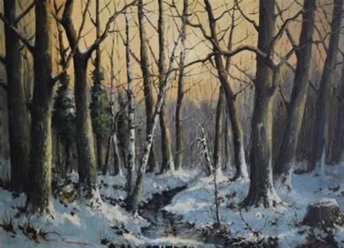 DE SCHRIJVER K. Mooi frame, Antiek en Kunst, Kunst | Schilderijen | Klassiek, Ophalen of Verzenden