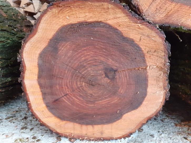 Boomstam. Uit te kiezen aan 25euro/stuk, Huis en Inrichting, Krukjes, Nieuw, Hout, Ophalen