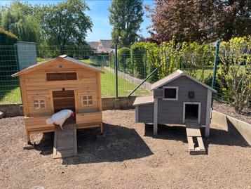 Twee kippenhokken te koop, Ophalen, Gebruikt, Kippenhok of Kippenren