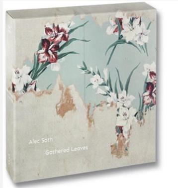 Alec Soth - Gathered Leaves 2015