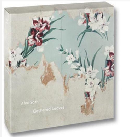 Alec Soth - Gathered Leaves 2015, Livres, Art & Culture | Photographie & Design, Neuf, Photographes, Enlèvement ou Envoi