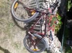 MOUNTENBIKES, 45 tot 49 cm, Ophalen, Gebruikt, Heren
