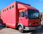Renault paardenvrachtwagen 5 paarden met zadelkamer(5), Renault, Bedrijf, Te koop, Handgeschakeld