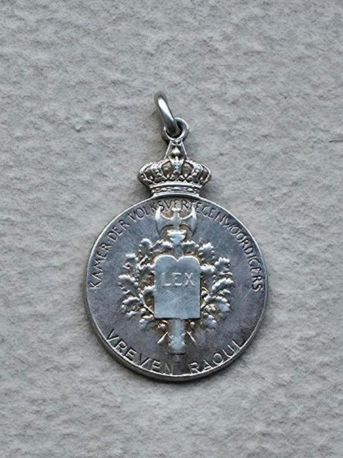 Zilveren Medaille Parlementslid , minister van staat Vreven, Postzegels en Munten, Penningen en Medailles, Zilver, Ophalen of Verzenden