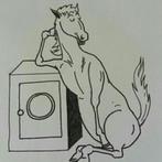 paarden dekens , wassen , impregneren en reparatie, Dieren en Toebehoren, Ophalen, Zo goed als nieuw, Deken