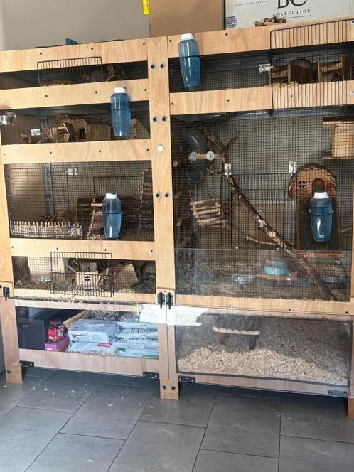A donner 9 rattes, Dieren en Toebehoren, Knaagdieren en Konijnen | Toebehoren, Nieuw, Knaagmateriaal, Ophalen