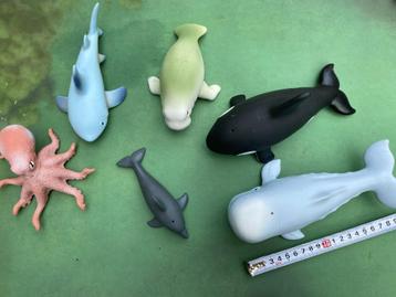 Set van 6 zeedieren beschikbaar voor biedingen