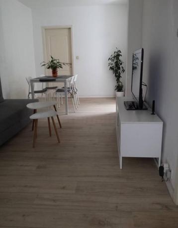 Appartement met 1 slaapkamer - 55m² - Botanique/Saint-Franço beschikbaar voor biedingen