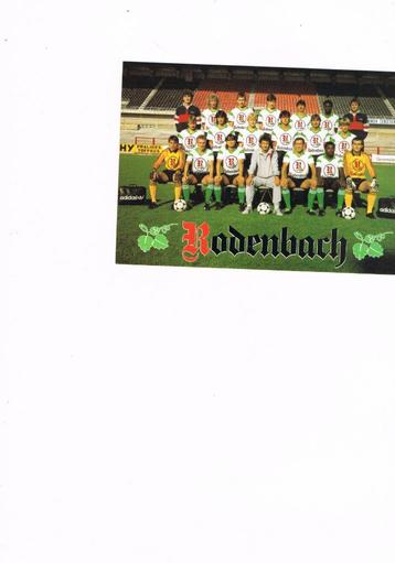 Cercle Brugge: foto's stickers en varia beschikbaar voor biedingen