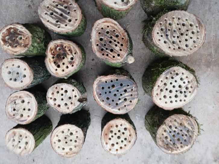 Bijenhotel / bijenschijf / insectenhotel (eik), Tuin en Terras, Tuinwanddecoratie, Nieuw, Ophalen of Verzenden