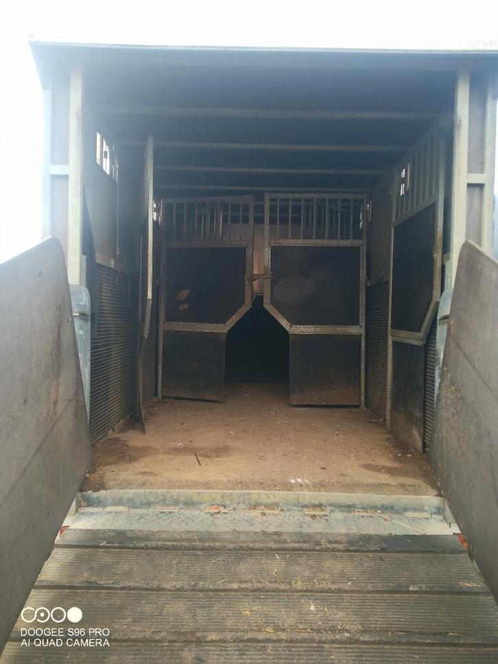 3 dubbele deuren en zijkanten voor paarden vrachtwagen in zé, Dieren en Toebehoren, Paarden en Pony's | Beschermers, Ophalen