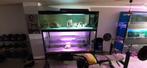 2 aquariua 2 meter en 1m60 incl pomp en verwarming, Ophalen, Gebruikt, Leeg aquarium