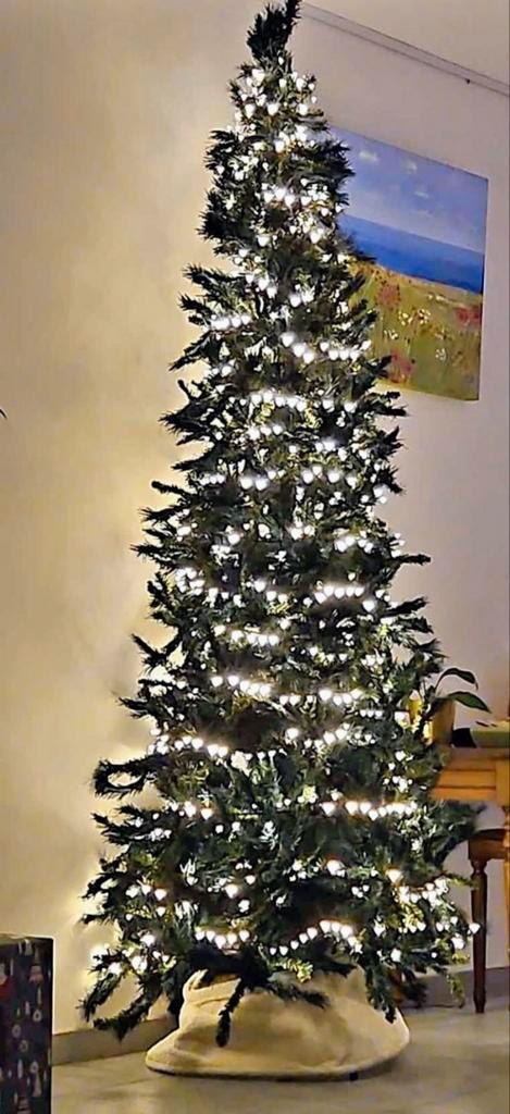 Kerstboom, Diversen, Kerst, Zo goed als nieuw, Ophalen