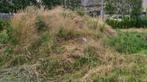 Gratis opvulgrond – 10m³ af te halen Zulte, Tuin en Terras, Ophalen, Tuinaarde