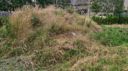 Gratis opvulgrond – 10m³ af te halen Zulte, Tuin en Terras, Aarde en Mest, Tuinaarde, Ophalen