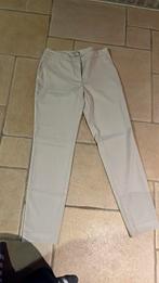 Nieuwe geklede broek maat 36, Ophalen of Verzenden, Zo goed als nieuw, Maat 36 (S)