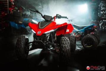 CF Moto CFORCE 110 Basic beschikbaar voor biedingen