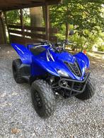 Quad Yamaha Wolverine 350 cc, 350 cm³, 12 à 35 kW, 1 cylindre