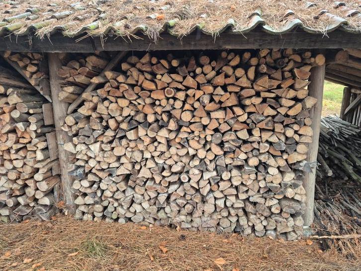brandhout te koop, Jardin & Terrasse, Bois de chauffage, Bûches, Autres essences de bois, 3 à 6 m³, Enlèvement